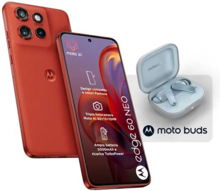 Motorola smartphone 60 neo 8+256gb 6.36 5g pant.poinciana + moto buds